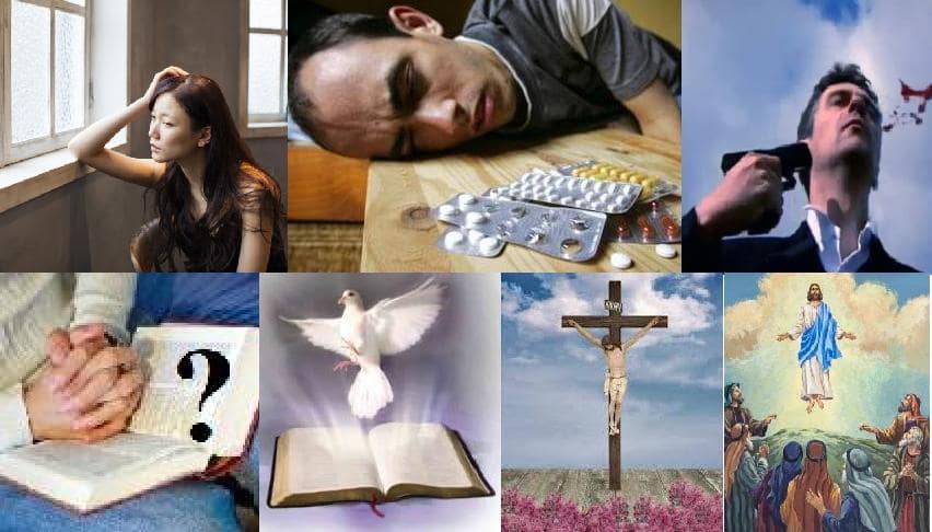 Întrebări frecvente