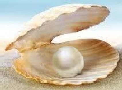 Perlă